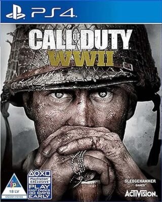 Call of Duty WWII PS4 (Used Game)