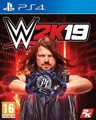 WWE 2K19 PS4 (Used Game)